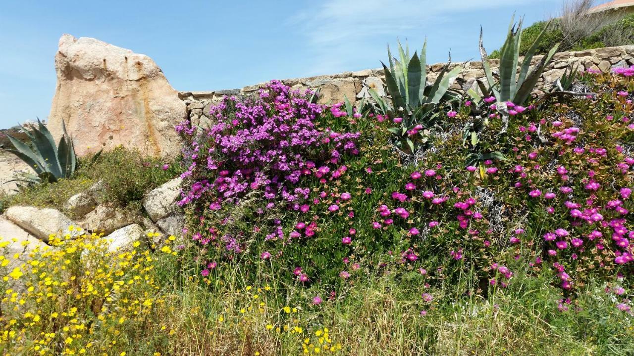 Villa Casa Vacanze Della Maddalena La Maddalena  Exterior foto